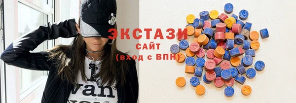 дживик Богородицк