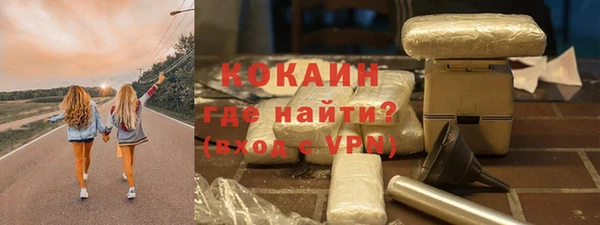 дживик Богородицк