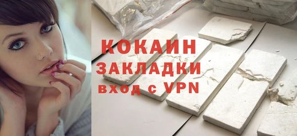 дживик Богородицк