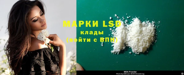 дживик Богородицк