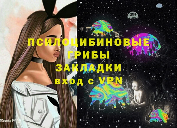 apvp Строитель