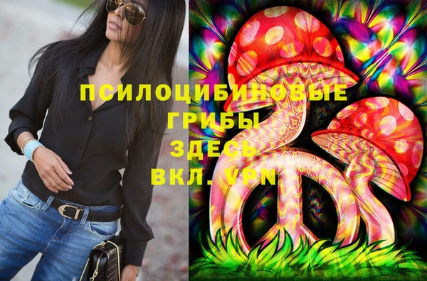 дживик Богородицк