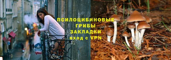 дживик Богородицк