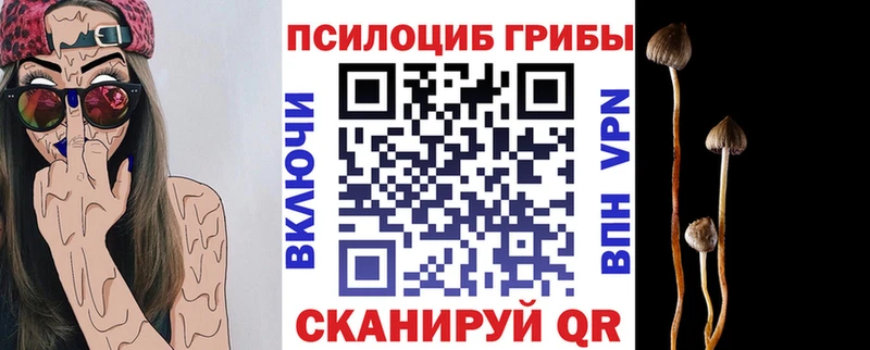 МЕГА маркетплейс  Городец  Псилоцибиновые грибы MAGIC MUSHROOMS  что такое  