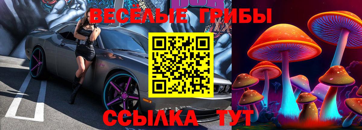 Псилоцибиновые грибы мухоморы  закладка  Городец  Вход с VPN 
